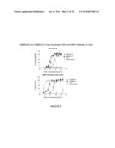 ANTIBODIES THAT NEUTRALIZE RSV, MPV AND PVM AND USES THEREOF diagram and image