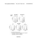 ANTIBODIES THAT NEUTRALIZE RSV, MPV AND PVM AND USES THEREOF diagram and image