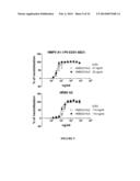 ANTIBODIES THAT NEUTRALIZE RSV, MPV AND PVM AND USES THEREOF diagram and image