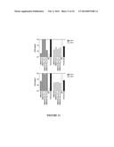 ANTIBODIES THAT NEUTRALIZE RSV, MPV AND PVM AND USES THEREOF diagram and image