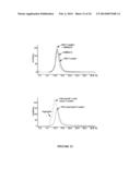 ANTIBODIES THAT NEUTRALIZE RSV, MPV AND PVM AND USES THEREOF diagram and image