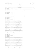 ANTIBODIES THAT NEUTRALIZE RSV, MPV AND PVM AND USES THEREOF diagram and image