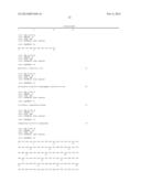 ANTIBODIES THAT NEUTRALIZE RSV, MPV AND PVM AND USES THEREOF diagram and image