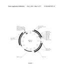 DEPLETED ANTI-STAPHYLOCOCCAL ENTEROTOXINS POLYCLONAL ANTIBODIES,     PREPARATION AND USES THEREOF diagram and image