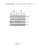 MODULATION OF LRCH4 ACTIVITY AND THERAPEUTIC APPLICATION THEREOF diagram and image
