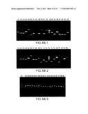 PESTIVIRUS SPECIES diagram and image