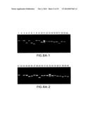 PESTIVIRUS SPECIES diagram and image