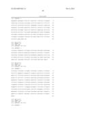 PESTIVIRUS SPECIES diagram and image