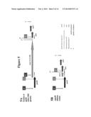 IMMUNOGENIC COMPOSITIONS FOR STREPTOCOCCUS PYOGENES diagram and image