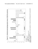 IMMUNOGENIC COMPOSITIONS FOR STREPTOCOCCUS PYOGENES diagram and image