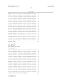 Detection of Mutations in a Gene Associated with Resistance to Viral     Infection, OAS1 diagram and image