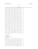 Detection of Mutations in a Gene Associated with Resistance to Viral     Infection, OAS1 diagram and image