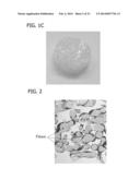 SCAFFOLD FOR TISSUE REGENERATION IN MAMMALS diagram and image