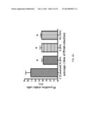 ISOLATION AND CHARACTERIZATION OF TUMOR CELLS USING SHEAR STRESS     MEASUREMENTS diagram and image