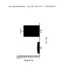 ISOLATION AND CHARACTERIZATION OF TUMOR CELLS USING SHEAR STRESS     MEASUREMENTS diagram and image