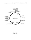 Methods For Producing Hyaluronan In A Recombinant Host Cell diagram and image