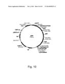 Methods For Producing Hyaluronan In A Recombinant Host Cell diagram and image