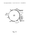 Methods For Producing Hyaluronan In A Recombinant Host Cell diagram and image