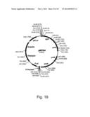 Methods For Producing Hyaluronan In A Recombinant Host Cell diagram and image