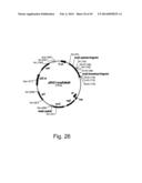 Methods For Producing Hyaluronan In A Recombinant Host Cell diagram and image