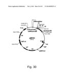 Methods For Producing Hyaluronan In A Recombinant Host Cell diagram and image