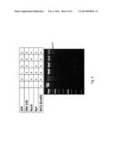 GENOMIC ENRICHMENT METHOD, COMPOSITION, AND REAGENT KIT diagram and image