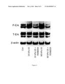 METHODS OF USING ULTRASOUND IN TISSUE CULTURE AND TISSUE ENGINEERING diagram and image