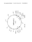 Mammalian Cell Lines for Increasing Longevity and Protein Yield from a     Cell Culture diagram and image