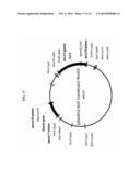 Mammalian Cell Lines for Increasing Longevity and Protein Yield from a     Cell Culture diagram and image