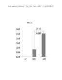 CODON OPTIMIZED SODIUM-IODIDE SYMPORTER GENE AND ITS USE diagram and image