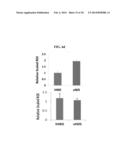 CODON OPTIMIZED SODIUM-IODIDE SYMPORTER GENE AND ITS USE diagram and image