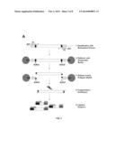 HIGH THROUGHPUT YEAST TWO-HYBRID SCREENING METHOD AND REAGENT KIT diagram and image