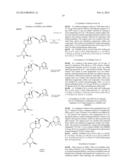 Novel Vitamin D Receptor Modulators with Partial Agonist Activity diagram and image