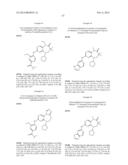 DIHYDRODIAZEPINES USEFUL AS INHIBITORS OF PROTEIN KINASES diagram and image