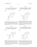 DIHYDRODIAZEPINES USEFUL AS INHIBITORS OF PROTEIN KINASES diagram and image