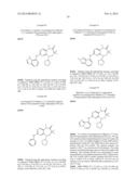 DIHYDRODIAZEPINES USEFUL AS INHIBITORS OF PROTEIN KINASES diagram and image