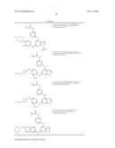 NOVEL EGFR MODULATORS AND USES THEREOF diagram and image