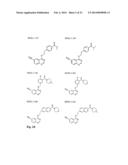 CDK8-CDK19 SELECTIVE INHIBITORS AND THEIR USE IN ANTI-METASTATIC AND     CHEMOPREVENTATIVE METHODS FOR CANCER diagram and image