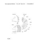 CDK8-CDK19 SELECTIVE INHIBITORS AND THEIR USE IN ANTI-METASTATIC AND     CHEMOPREVENTATIVE METHODS FOR CANCER diagram and image