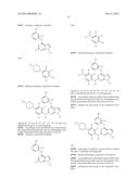 NOVEL EGFR MODULATORS AND USES THEREOF diagram and image