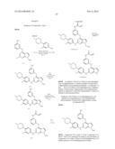 NOVEL EGFR MODULATORS AND USES THEREOF diagram and image