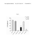 NOVEL PANCREATIC CANCER BIOMARKER USING THE CHARACTERISTICS OF PANCREATIC     CANCER STEM CELLS, AND USE THEREOF diagram and image