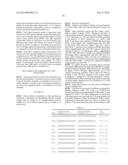 NOVEL PANCREATIC CANCER BIOMARKER USING THE CHARACTERISTICS OF PANCREATIC     CANCER STEM CELLS, AND USE THEREOF diagram and image