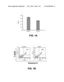 FILIP1L COMPOSITIONS AND METHODS FOR TREATING CANCER diagram and image