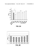 FILIP1L COMPOSITIONS AND METHODS FOR TREATING CANCER diagram and image