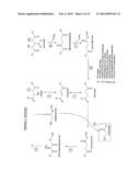 PROCESS FOR PRODUCING PROPYLENE FROM SYNGAS VIA FERMENTATIVE PROPANOL     PRODUCTION AND DEHYDRATION diagram and image