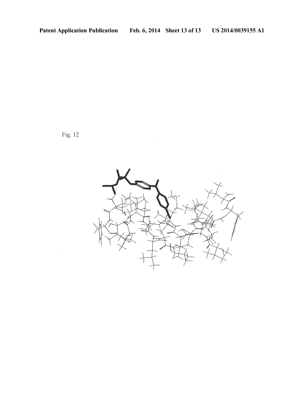 AMYLOID-BETA PEPTIDE CRYSTAL STRUCTURE - diagram, schematic, and image 14