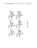 Synthesis of deuterated ribo nucleosides N-protected phosphoramidites, and     oligonucleotides diagram and image