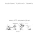 Squarylated Lactones Inhibitors for Bacterial Biofilm Formation diagram and image