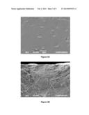 Melt-Processed Films of Thermoplastic Cellulose and Microbial Aliphatic     Polyester diagram and image